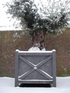 Bloem en Bomenbak in Natuursteen