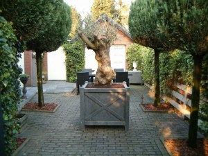 Bloem en Bomenbak in Natuursteen