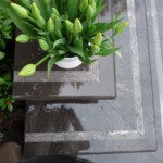 Trappen opening maart 2011 038